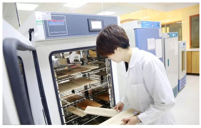 新材料技术研发迎来政策东风，国务院一周新政精准赋能